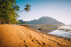 El Nido village coastline, with sandy beach and palm trees and local boats in shallow lagoon at golden sunset light. Palawan. Philippines. El Nido village coastline, with sandy beach and palm trees and local boats in shallow lagoon at golden sunset light. Palawan. Philippines.